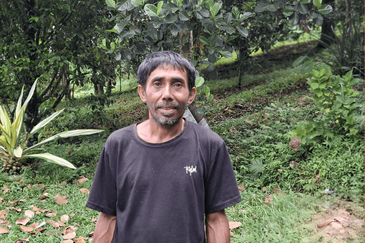Cengkih dari Lajur Seberang