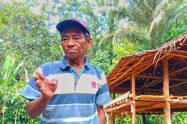 Said Tolawo: Mengawasi Dunia Lewat Hutan di Ngata Toro