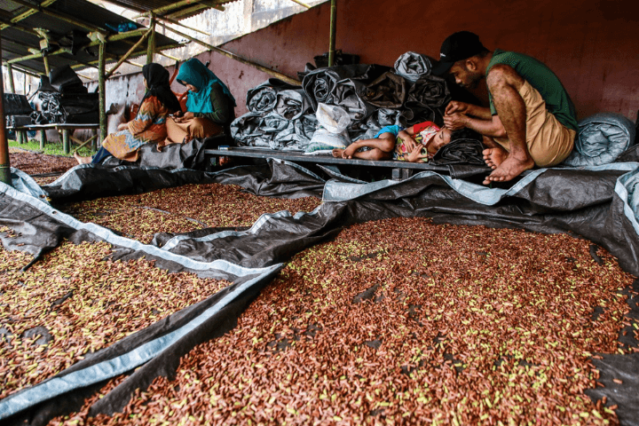 Rumen The, Asa, dan Karsa di Toko Rempah Harapan Karya