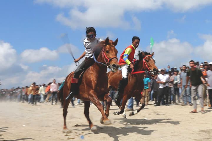 Pacuan Kuda Tradisional Gayo